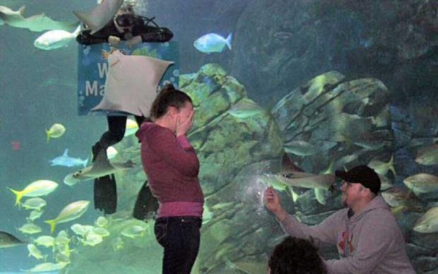 فوتوبمب یا حضور ناگهانی حیوانات در عکس های خاطره انگیز