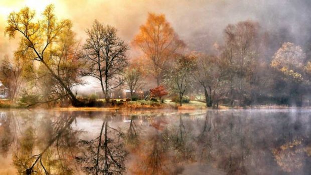 جلوه باشکوه و زیبایی های پائیز فراتر از سرسبزی بهار در تصاویری دیدنی 7 جلوه باشکوه زیبایی های پائیز فراتر از سرسبزی بهار