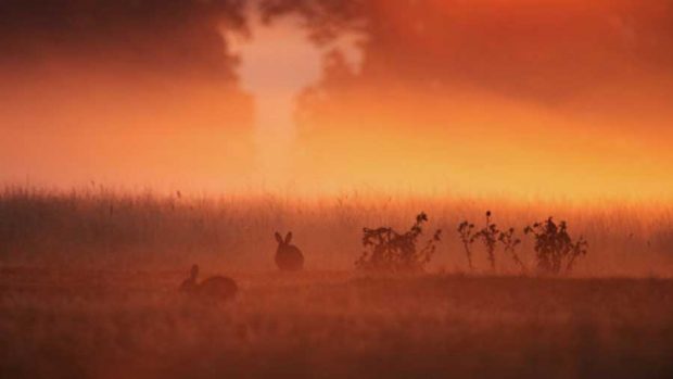 جلوه باشکوه و زیبایی های پائیز فراتر از سرسبزی بهار در تصاویری دیدنی 18 جلوه باشکوه زیبایی های پائیز فراتر از سرسبزی بهار
