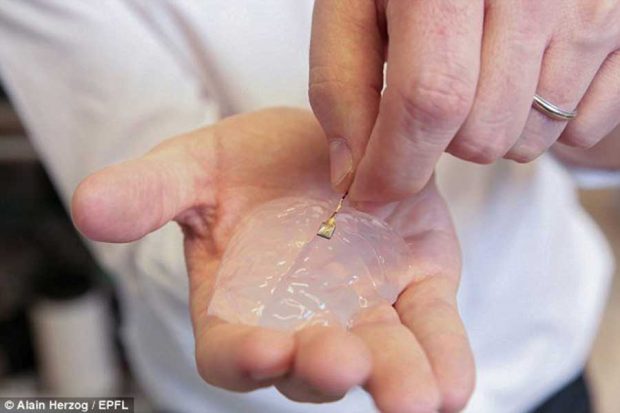 درمان بیماران نخاعی در آینده امکان پذیر خواهد شد + عکس 4 درمان بیماران نخاعی در آینده امکان پذیر خواهد شد ؟