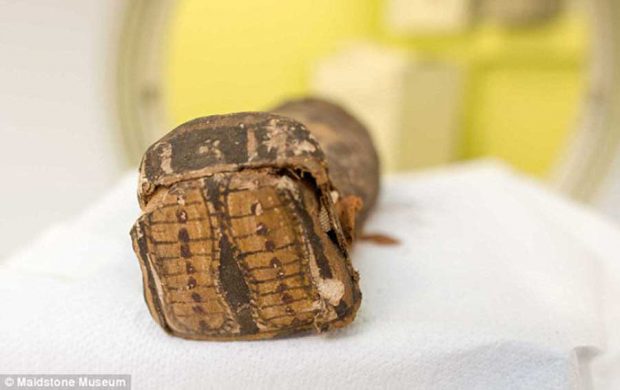 معمای جوان‌ترین مومیایی کشف شده در جهان حل شد