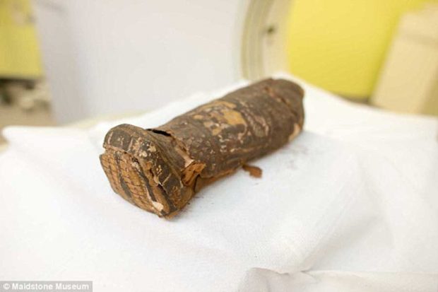 معمای جوان‌ترین مومیایی کشف شده در جهان حل شد