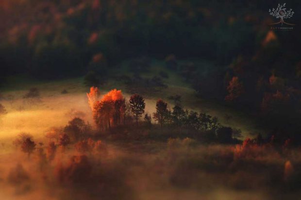 ثبت تصاویری دیدنی از پاییز در رومانی، با ساده ترین دوربین عکاسی! 11 ثبت برترین عکس های پاییز رومانی، با ساده ترین دوربین عکاسی!