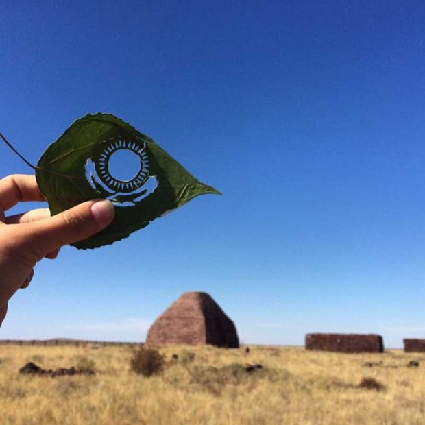 هنر رسم با برگ و طبیعت با هنرمندی خلاقانه یک ژاپنی + عکس 5 تصاویری از هنر رسم با برگ و طبیعت