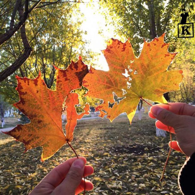 هنر رسم با برگ و طبیعت با هنرمندی خلاقانه یک ژاپنی + عکس 7 تصاویری از هنر رسم با برگ و طبیعت