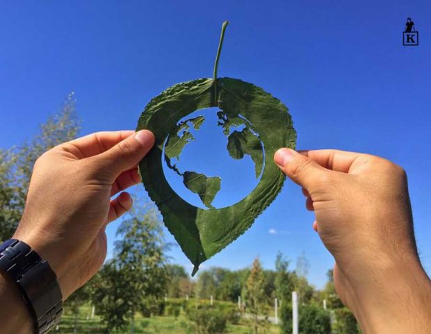 هنر رسم با برگ و طبیعت با هنرمندی خلاقانه یک ژاپنی + عکس 17 تصاویری از هنر رسم با برگ و طبیعت