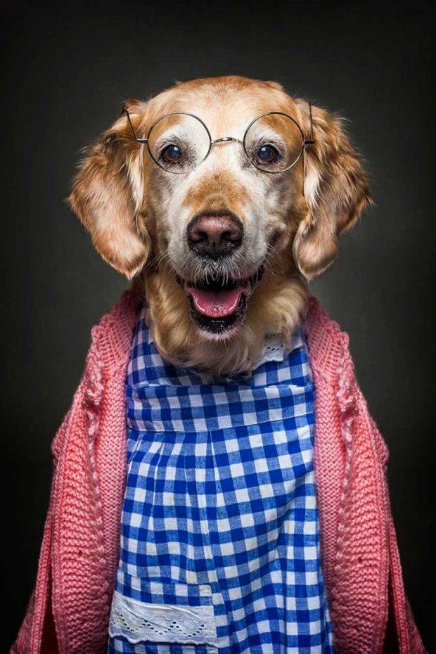 تصاویر خلاقانه از پرتره سگ ها با پوشش انسان ها !!! 4 تصاویر خلاقانه از پرتره سگ ها با پوشش انسان ها !!!