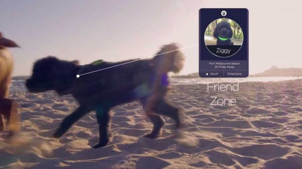 قلاده هوشمند Buddy