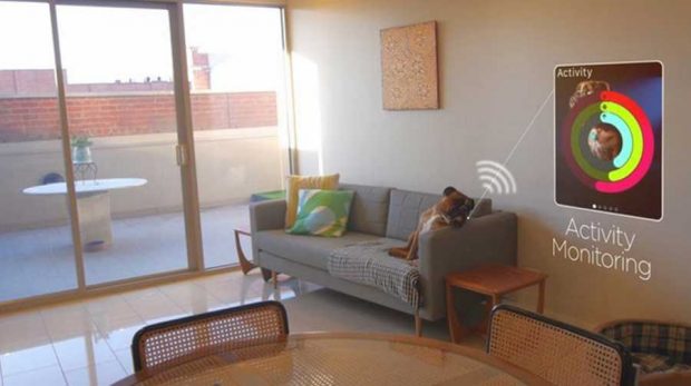 قلاده هوشمند Buddy