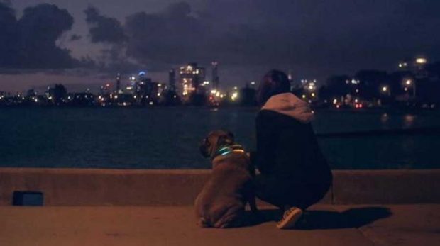 قلاده هوشمند