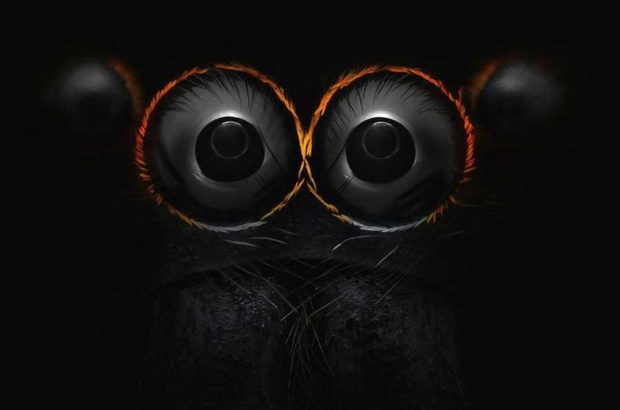 nikon small world photography winners 201656 580f407ccc387 880