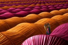 تصاویری از بهترین عکس‌های مسابقه عکاسی سیه‌نا