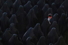 تصاویری از بهترین عکس‌های مسابقه عکاسی سیه‌نا