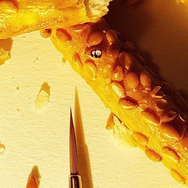 نقاشی مینیاتوری بر روی اشیاء ریز توسط یک نقاش ترک 7 نقاشی مینیاتوری بر روی اشیاء ریز هنر دستان نقاش ترک