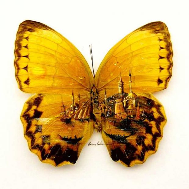 نقاشی مینیاتوری بر روی اشیاء ریز توسط یک نقاش ترک 8 نقاشی مینیاتوری بر روی اشیاء ریز هنر دستان نقاش ترک