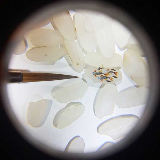 نقاشی مینیاتوری بر روی اشیاء ریز توسط یک نقاش ترک 17 نقاشی مینیاتوری بر روی اشیاء ریز هنر دستان نقاش ترک