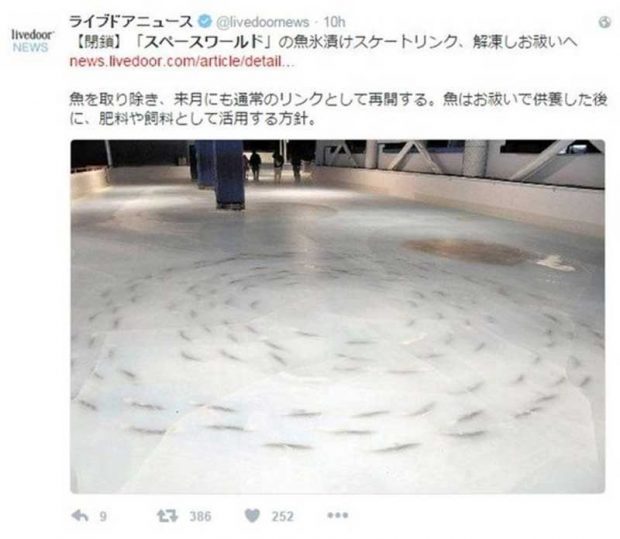 ماهی یخ زده در پیست اسکیت ژاپن
