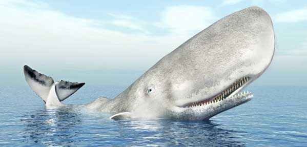 نهنگ سفید و غول پیکر افسانه ای