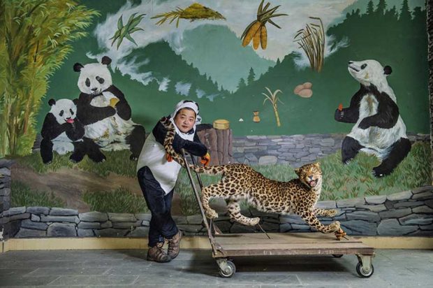 برترین عکس های سال 2016 به انتخاب نشنال جئوگرافیک