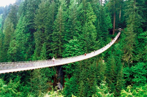 تصاویری از خطرناک ترین و پر هیجان ترین پل های عابر پیاده در جهان