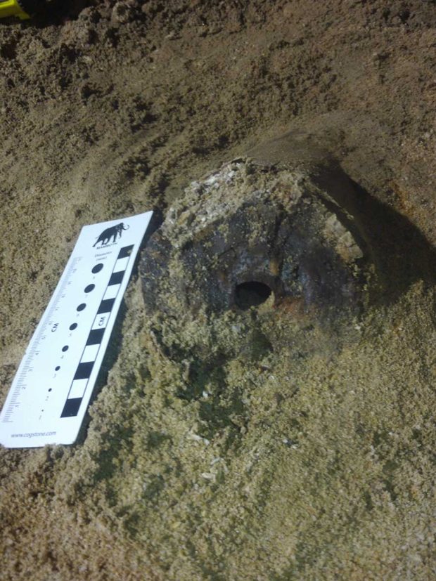 کشف فسیل ماستودون در متروی شهر لس آنجلس + عکس 5 کشف فسیل ماستودون در متروی شهر لس آنجلس + عکس