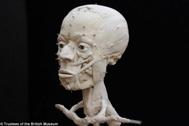 دانشمندان صورت یک مرد متعلق به دوران نوسنگی را بازسازی کردند 4 دانشمندان صورت یک مرد متعلق به دوران نوسنگی را بازسازی کردند