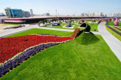 تصاویری شگفت انگیز از باغ گل در دل بیابان های دبی