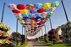 تصاویری شگفت انگیز از باغ گل در دل بیابان های دبی