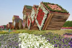 تصاویری شگفت انگیز از باغ گل در دل بیابان های دبی