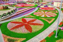 تصاویری شگفت انگیز از باغ گل در دل بیابان های دبی