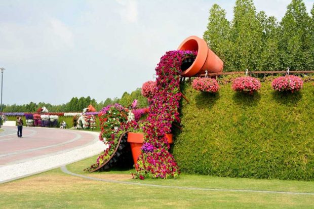 تصاویری شگفت انگیز از باغ گل در دل بیابان های دبی 15 تصاویری شگفت انگیز از باغ گل در دل بیابان های دبی