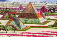 تصاویری شگفت انگیز از باغ گل در دل بیابان های دبی