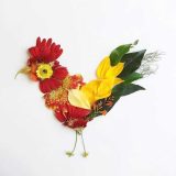 تصاویری از آثار هنرمندی که گلبرگ‌ها را به نقاشی‌های دیدنی تبدیل می کند