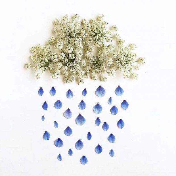 تصاویری از آثار هنرمندی که گلبرگ‌ها را به نقاشی‌های دیدنی تبدیل می کند