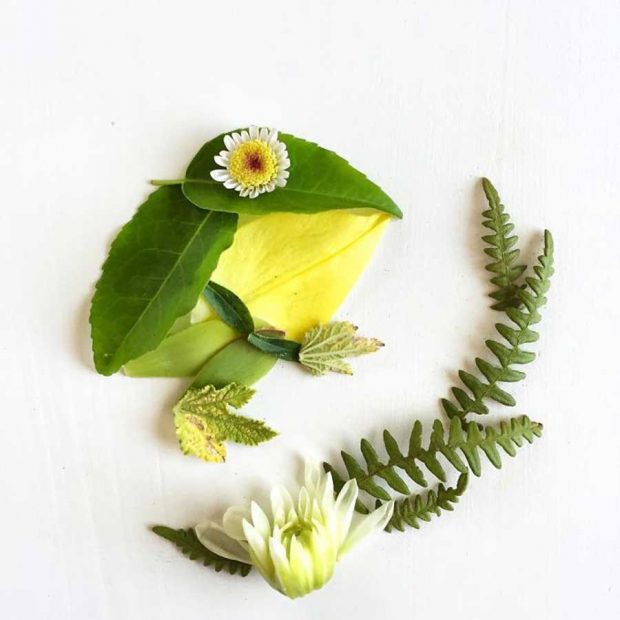 تصاویری از آثار هنرمندی که گلبرگ‌ها را به نقاشی‌های دیدنی تبدیل می کند