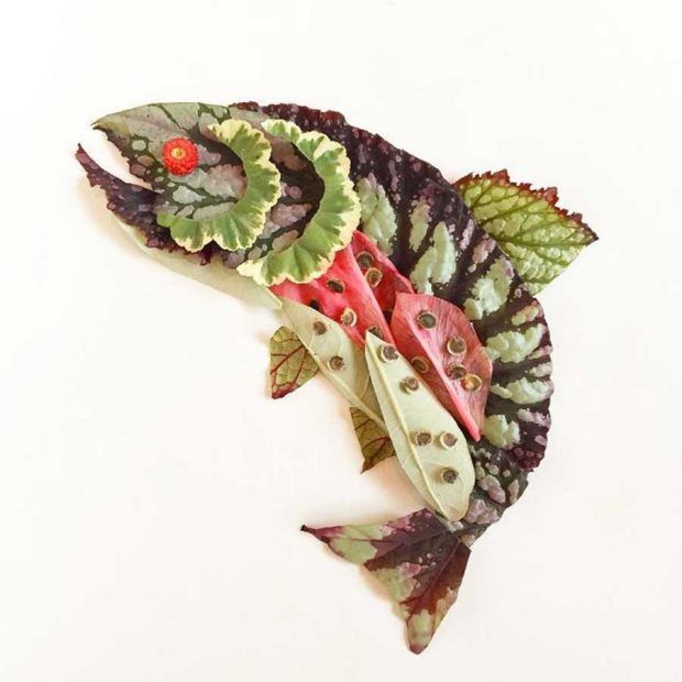 تصاویری از آثار هنرمندی که گلبرگ‌ها را به نقاشی‌های دیدنی تبدیل می کند