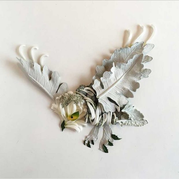 تصاویری از آثار هنرمندی که گلبرگ‌ها را به نقاشی‌های دیدنی تبدیل می کند