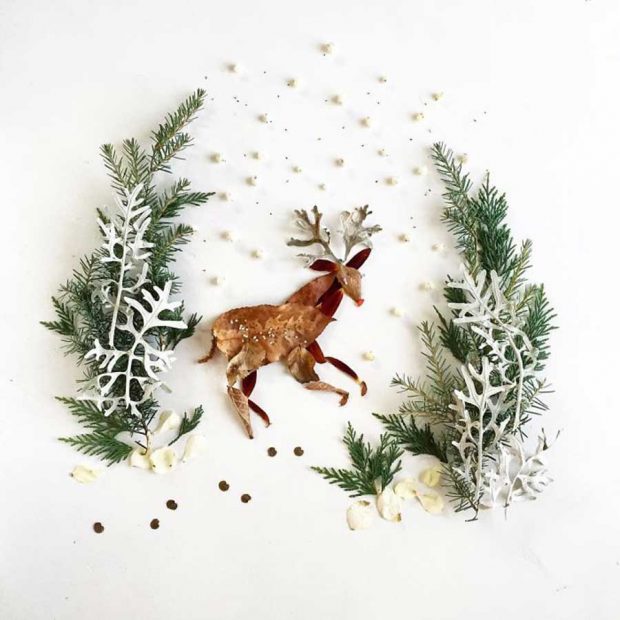 تصاویری از آثار هنرمندی که گلبرگ‌ها را به نقاشی‌های دیدنی تبدیل می کند