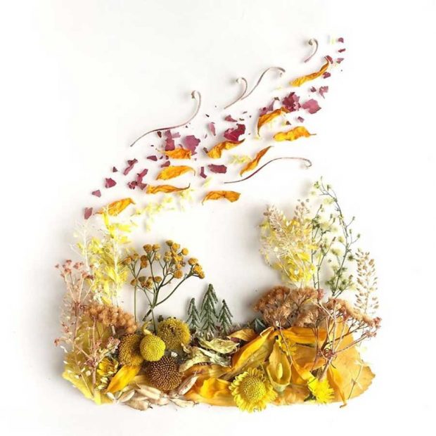 تصاویری از آثار هنرمندی که گلبرگ‌ها را به نقاشی‌های دیدنی تبدیل می کند