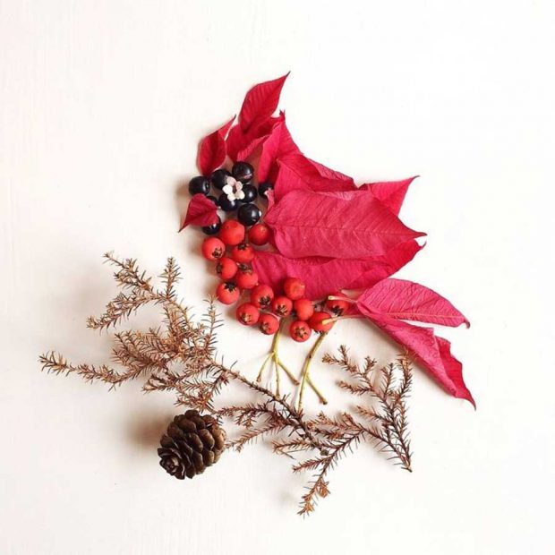 تصاویری از آثار هنرمندی که گلبرگ‌ها را به نقاشی‌های دیدنی تبدیل می کند