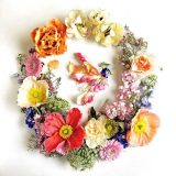 تصاویری از آثار هنرمندی که گلبرگ‌ها را به نقاشی‌های دیدنی تبدیل می کند