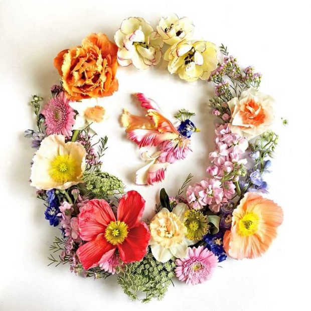 تصاویری از آثار هنرمندی که گلبرگ‌ها را به نقاشی‌های دیدنی تبدیل می کند