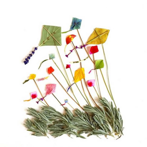 تصاویری از آثار هنرمندی که گلبرگ‌ها را به نقاشی‌های دیدنی تبدیل می کند