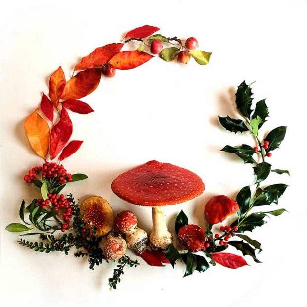 تصاویری از آثار هنرمندی که گلبرگ‌ها را به نقاشی‌های دیدنی تبدیل می کند