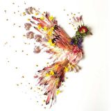 تصاویری از آثار هنرمندی که گلبرگ‌ها را به نقاشی‌های دیدنی تبدیل می کند