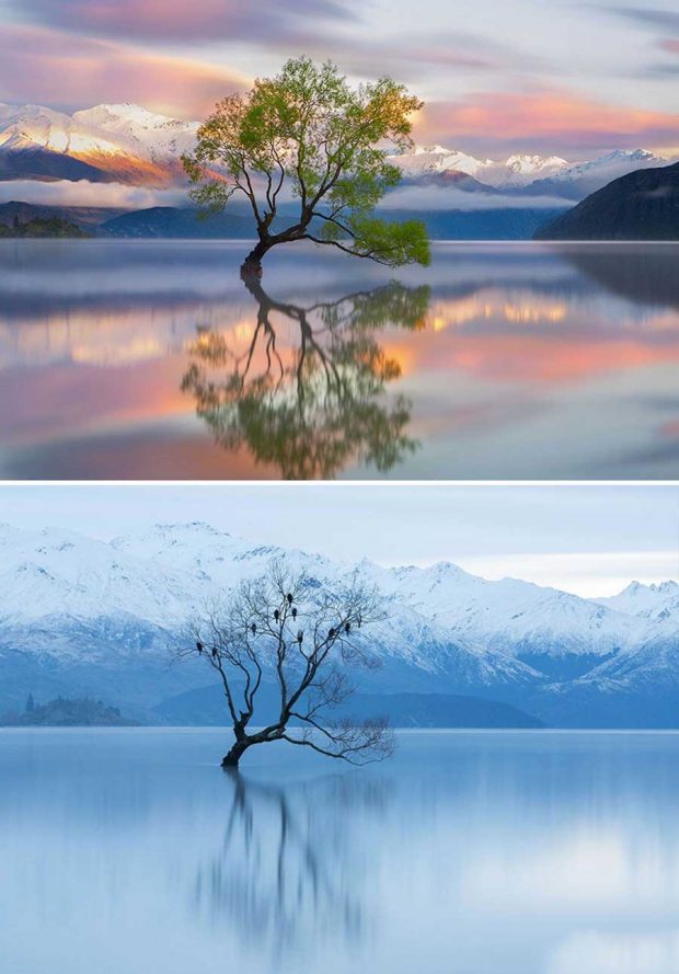 تصاویر دیدنی از مناظر طبیعی قبل و بعد از بارش برف 14 تصاویر دیدنی از مناظر طبیعی قبل و بعد از بارش برف