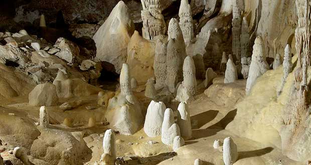 ابرباکتری ۴ میلیون ساله