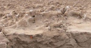 خشک‌ترین صحرای کره زمین