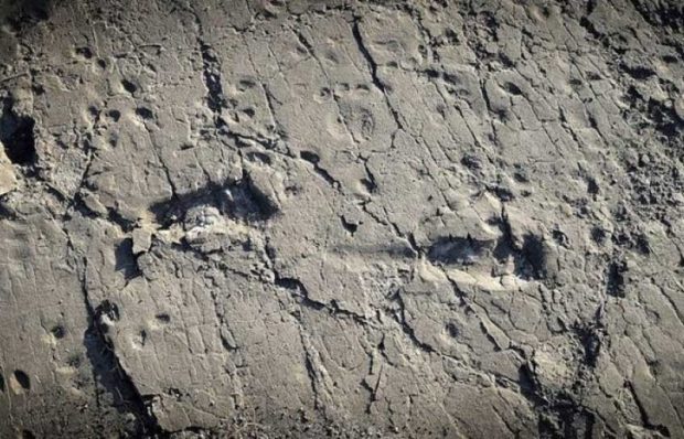 ردپای ۳/۵ میلیون ساله انسان در تانزانیا با نشانه هایی خاص کشف شد 5 ردپای 3/5 میلیون ساله انسان