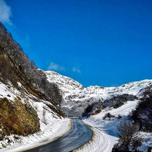 گوشی های لومیا